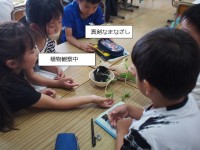 理科の授業の様子