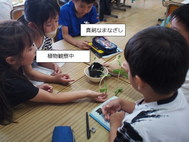 理科の授業の様子
