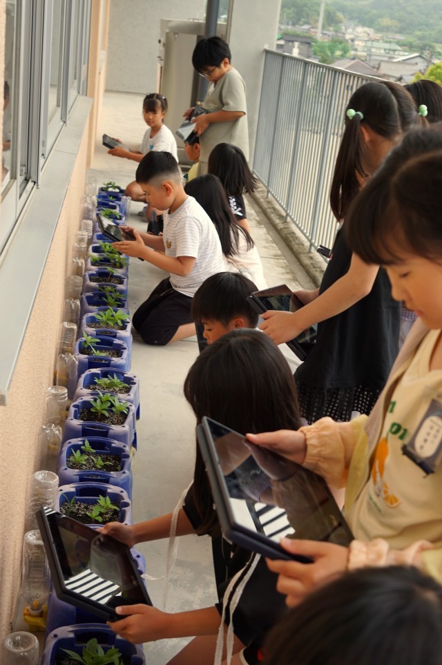 【２組】①理科の学習で、自分が育てているホウセンカの記録を、写真に残します。