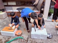 あじの開きづくり（1）