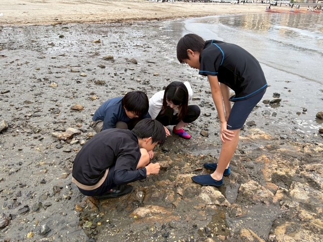 磯での海の生き物観察（2）