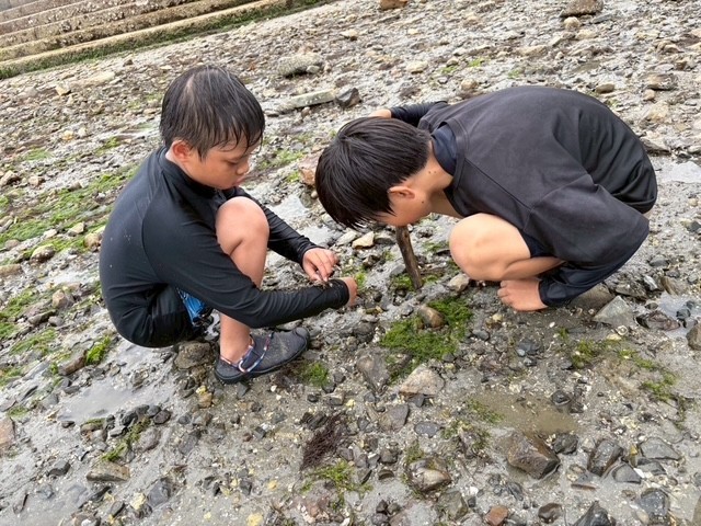 磯での海の生き物観察（3）