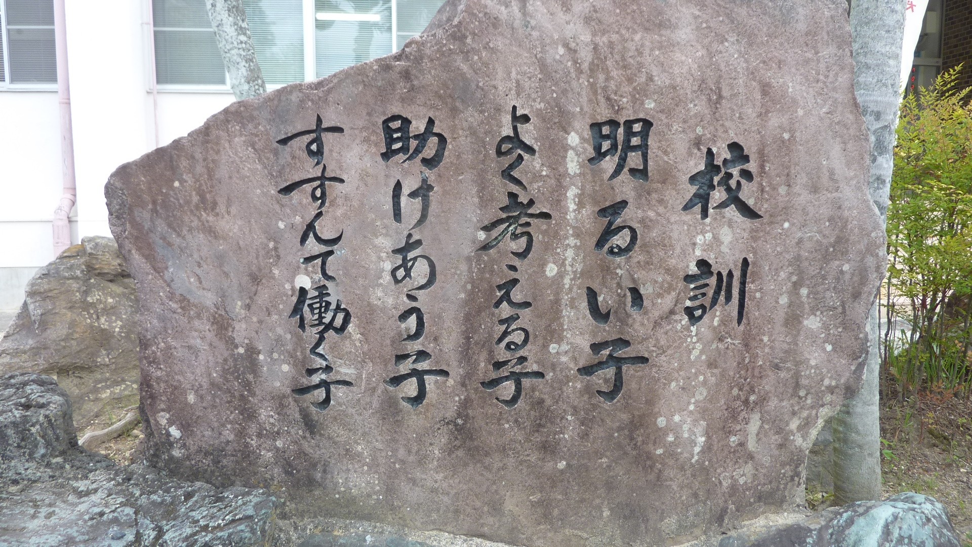 P1160681.JPG