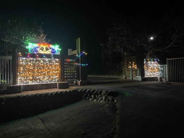 イルミネーション