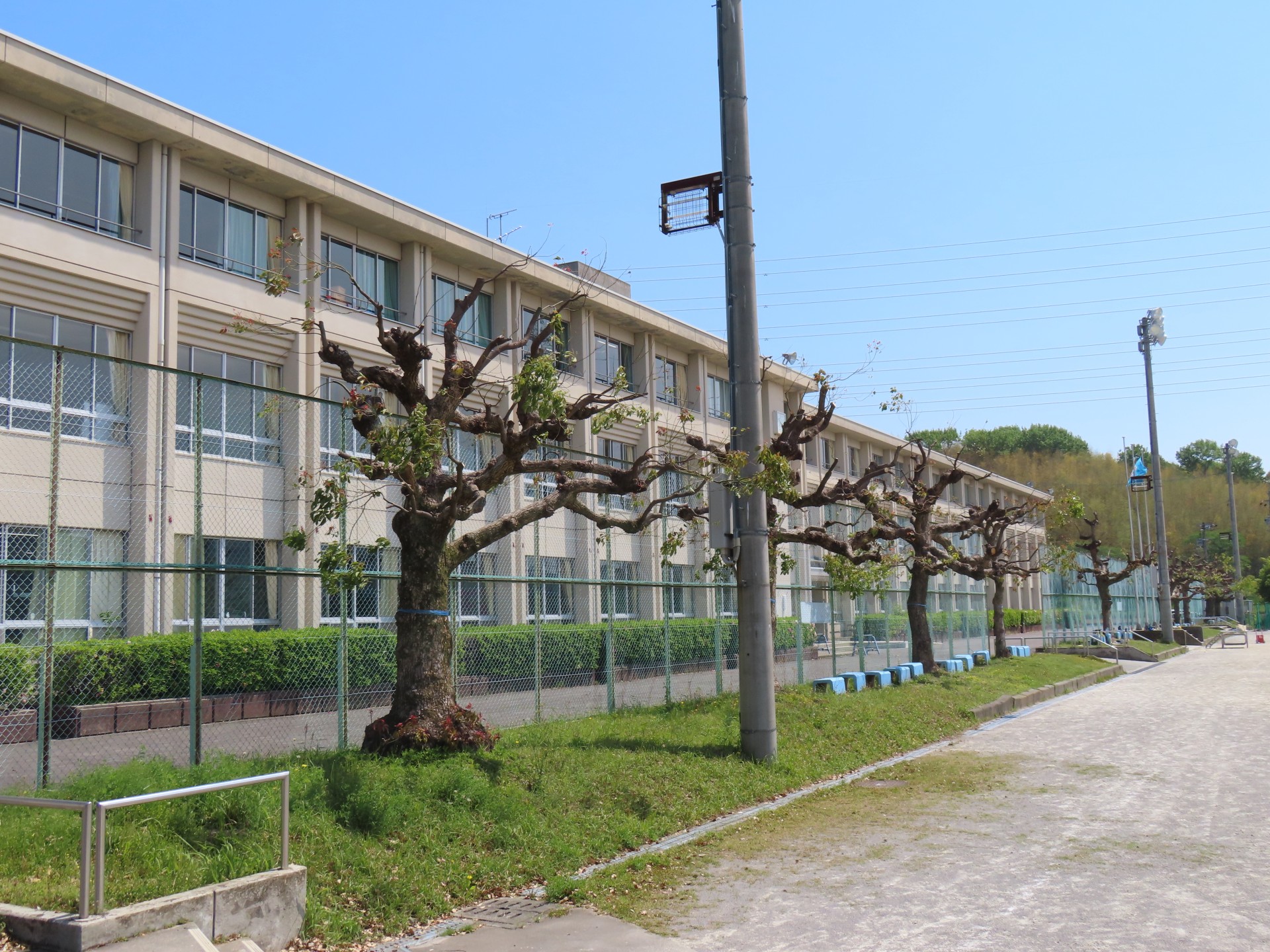 ５月の校舎
